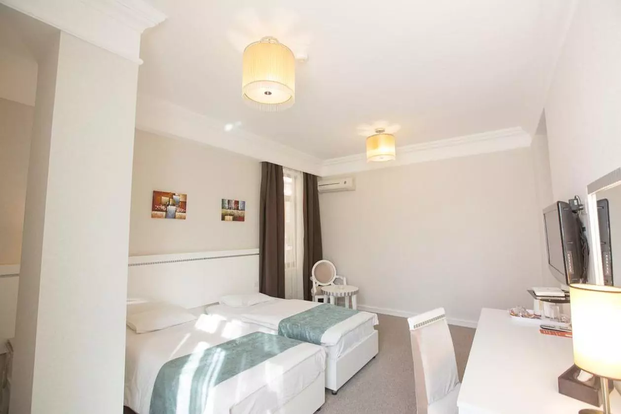 AMBER_SHABAVIZ (15).jpg